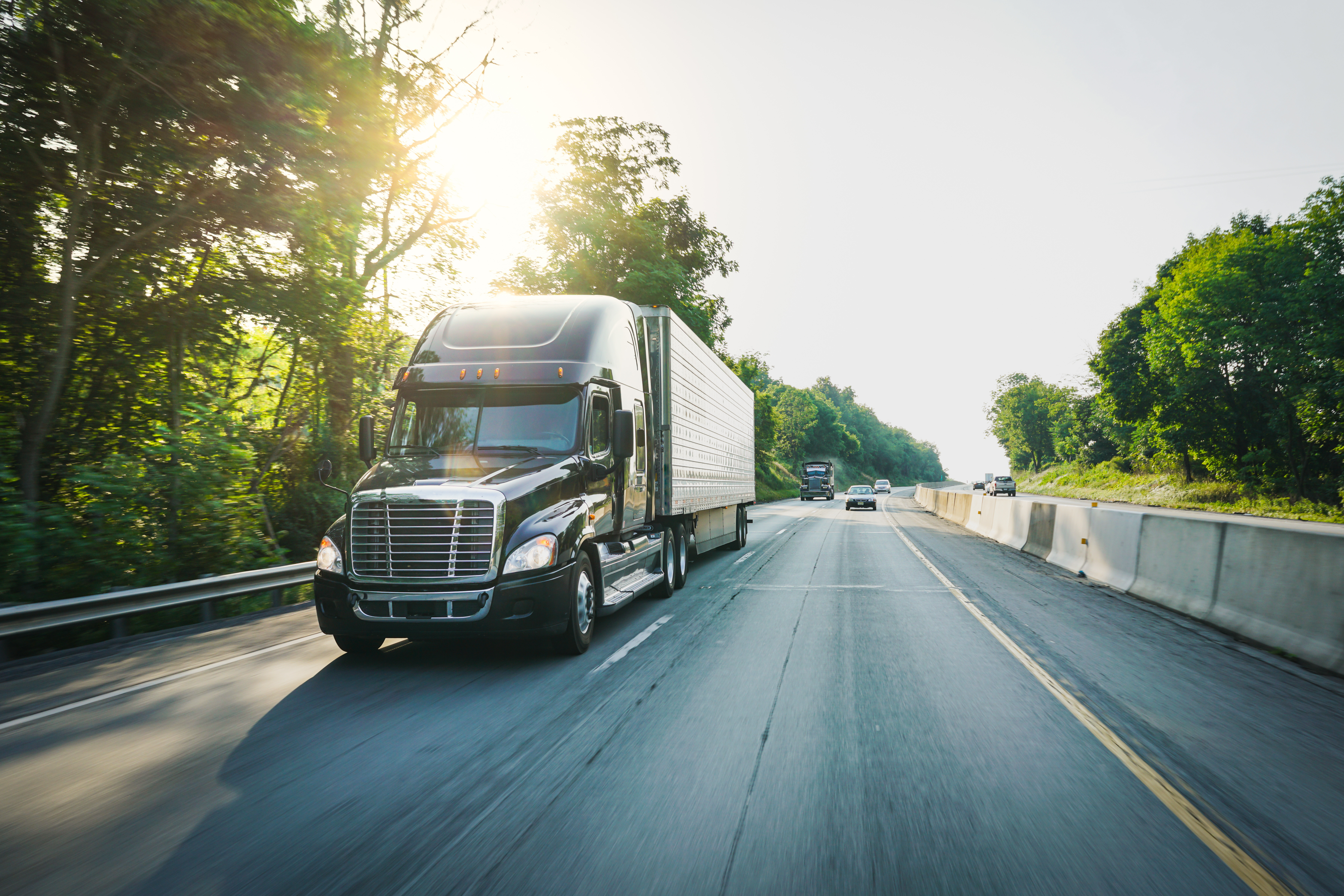Resilient Freight Truck